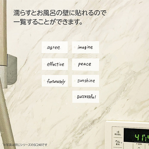 Bath Study Cards (Kutsuwa)