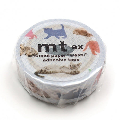 Kamoi mt ex Washi Tape