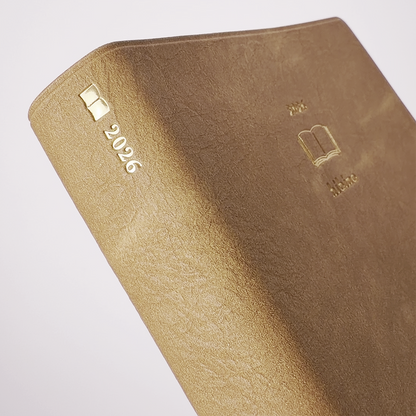 hibino 2 Pages/Day A6 Daily Journal (MIDORI)