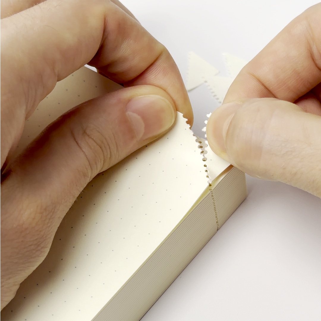 MD 1 Day 1 Page A5 Notebook Journal (MIDORI)