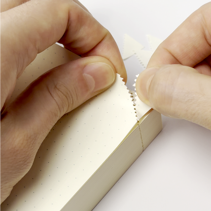 MD 1 Day 1 Page A5 Notebook Journal (MIDORI)