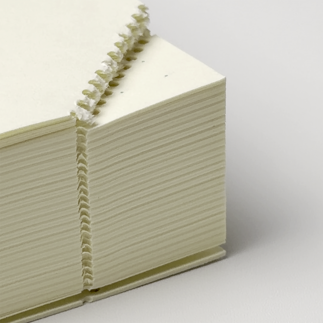 MD 1 Day 1 Page A5 Notebook Journal (MIDORI)