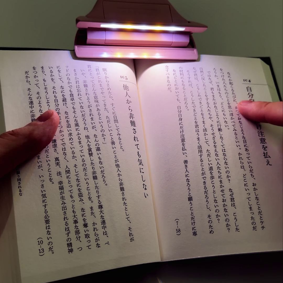 terasuno Light Clip (Sun-Star Stationery)